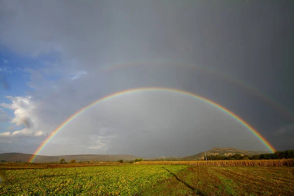 beautiful spring landscape panorama with a field and a rainbow above it. double rainbow shines in the sky, panoramic view
