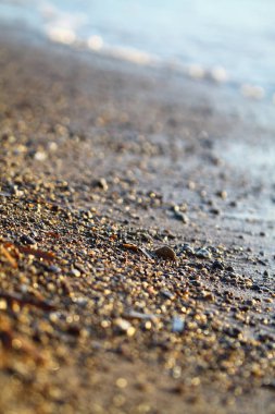 Sahilde ıslak deniz kumu arka planda güzel altın gün batımı. Gün batımında okyanus kıyısındaki deniz kumlarını kapatın. Gün batımında deniz manzarası. Sahilde gün batımında altın ıslak kum.