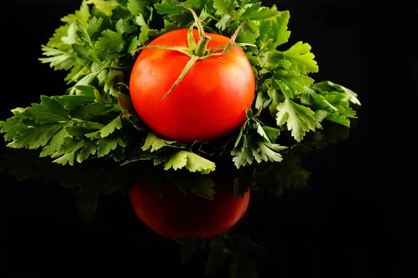 Red mini tomato on black reflective studio background. Isolated black shiny mirror mirrored background for every concept.