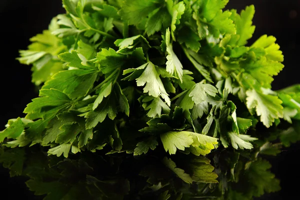 Close Peterselie Bladeren Met Dauw Druppels Zwarte Achtergrond — Stockfoto