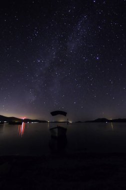 Perseid Meteor yağmuru ve yıldız
