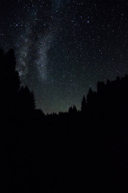 Perseid Meteor yağmuru ve yıldız