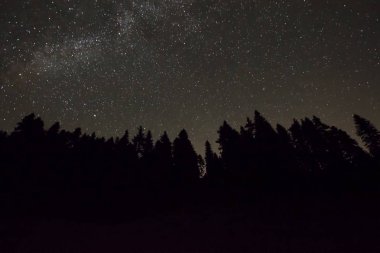 Perseid Meteor yağmuru ve yıldız