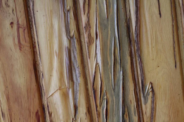 Ahşap Doku Dokulu Bir Arka Plan Background Cropped Vurdu Ağaç — Stok fotoğraf