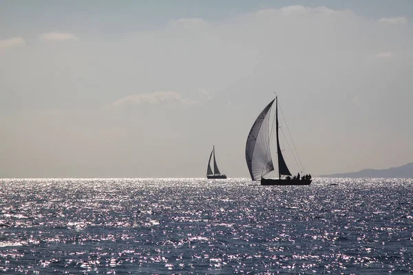 Sailing Ship Yachts White Sails Race Regatta Open Sea — Stock Photo, Image