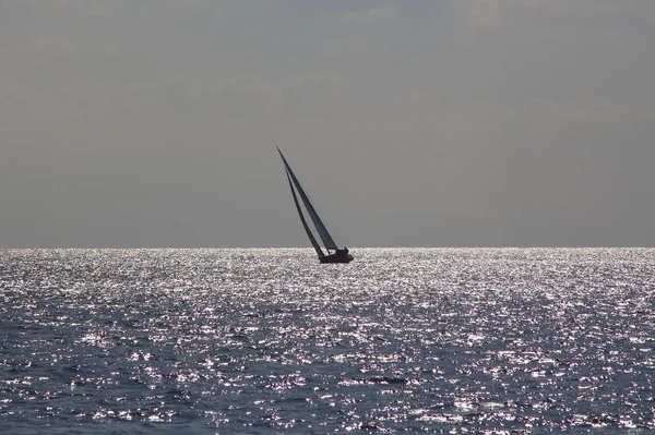 划着白帆的帆船在海上赛马场 — 图库照片