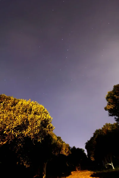 Increíble Cielo Nocturno Estrellado Con Vía Láctea Estrellas Sobre Tiendas —  Fotos de Stock
