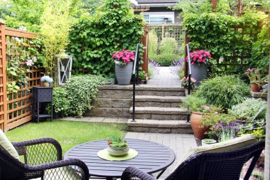 Small summertime townhouse garden, with blooming perennial lavender and begonia flowers.  clipart