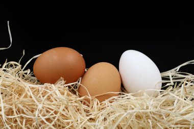 ahşap yünü ile üç yumurta