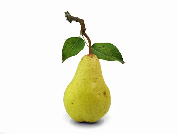 Natural ripe pear with stalk and leaves isolated on white background — Stock Photo, Image