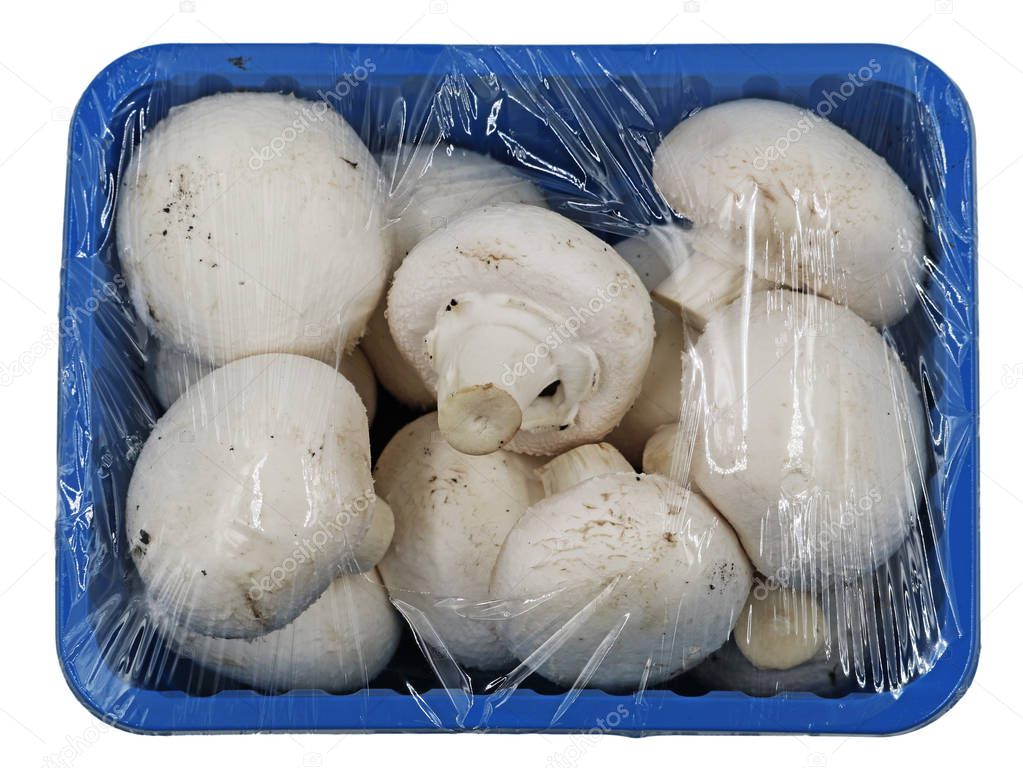 White mushrooms wrapped with foil in a blue bowl, top view
