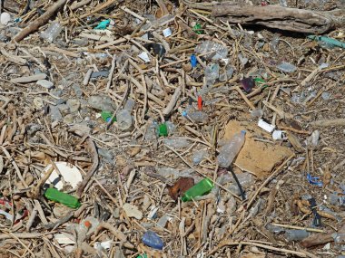 kirli plastik şişe ve atık drift ahşap arasında taş plajda. Çevre kirliliği