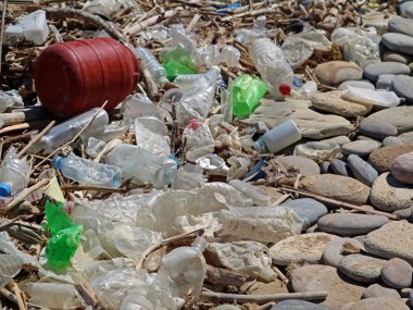 kirli plastik şişe ve taş plajda atık. Çevre kirliliği