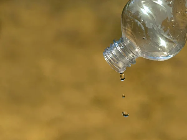 kurutulmuş çim arka plan üzerinde boş plastik şişe den su son damla, yakın, su kıtlığı kavramı, kuraklık