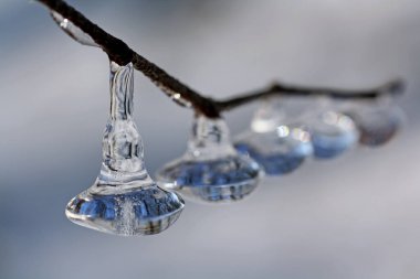 Nehrin su yüzeyindeki donmuş bir daldaki buz saçaklarının kapatılması, kışın soyut arkaplanı.
