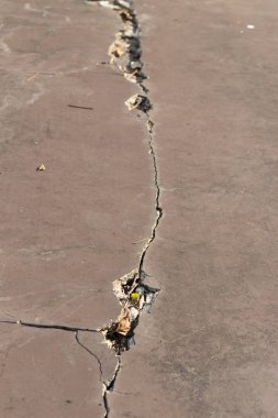 Kahverengi karo zemin ile dağınık kırık yaprak