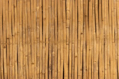 Kayan bambuların arka planı