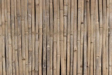 Kayan bambuların arka planı