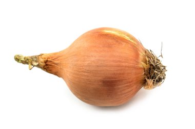 beyaz arka plan üzerinde sarı soğan, izole