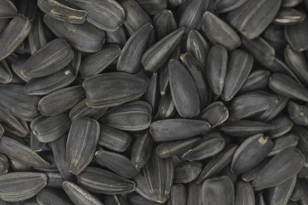  kuru ayçiçeği tohumu dokusu, yakın çekim