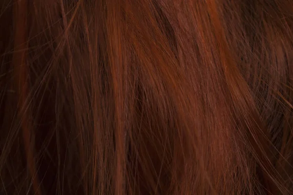 Black animal hair texture images libres de droit, photos de Black animal hair texture | Depositphotos Black animal hair texture images libres de droit, photos de Black animal hair texture | Depositphotos