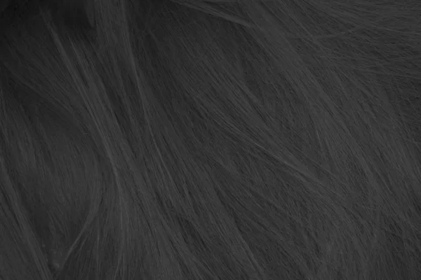 黑发和白发纹理背景 — 图库照片