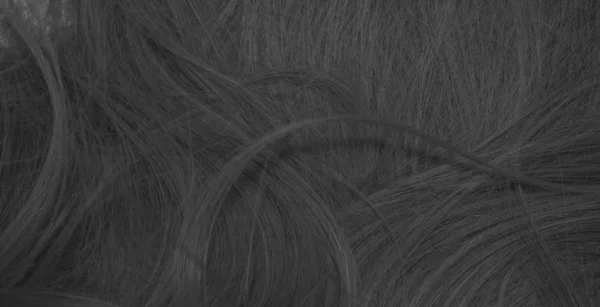 24Schwarz Und Weiß Haarstruktur Hintergrund — Stockfoto