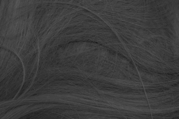 24Sfondo Texture Capelli Bianchi Neri — Foto Stock