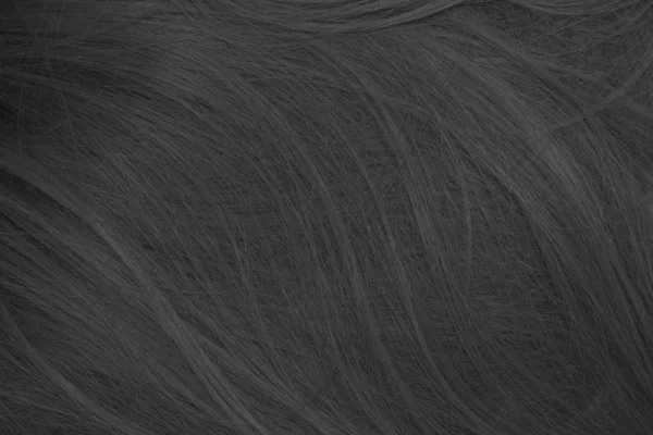 24Черные Белые Волосы Текстура Фона — стоковое фото