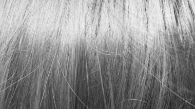 black and white hair texture background clipart