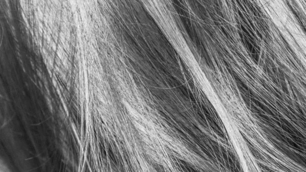 Noir Blanc Texture Cheveux Fond — Photo