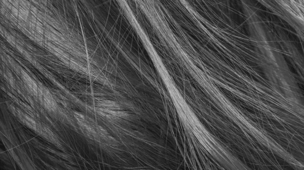 Noir Blanc Texture Cheveux Fond — Photo