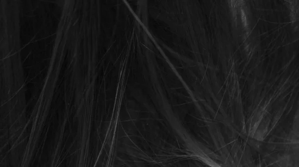 Черный Белый Фон Текстуры Волос — стоковое фото
