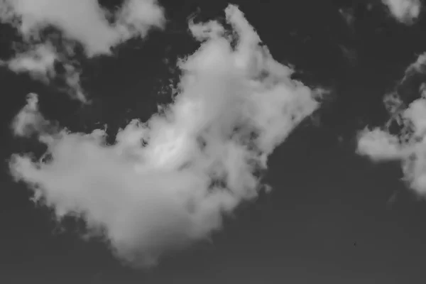 Nubes blancas contra el cielo oscuro. monocromo —  Fotos de Stock