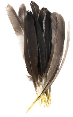 Beyaz arka planda izole edilmiş doğal kuş tüyleri. Güvercin, tavuk ve kaz tüyleri yakın plan. Kuş tüylerini istifle