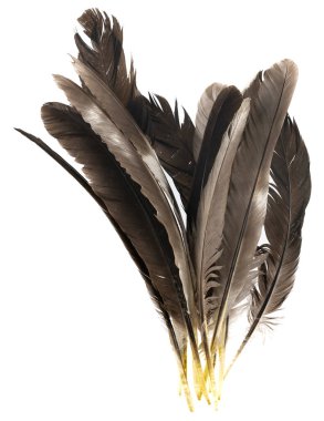 Beyaz arka planda izole edilmiş doğal kuş tüyleri. Güvercin, tavuk ve kaz tüyleri yakın plan. Kuş tüylerini istifle