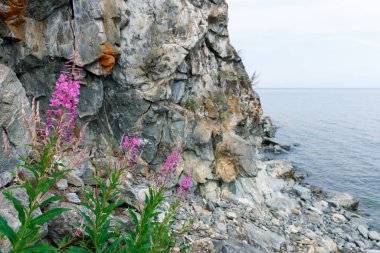 Öğleden sonra güzel dağ manzarası. Baykal Gölü