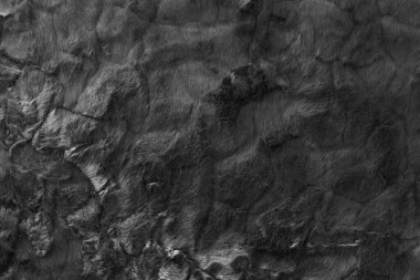 Üst bej desenli siyah gerçek yün. Kara doğal koyun yünü. Pürüzsüz pamuk, tasarımcılar için tüylü kürk dokusu 