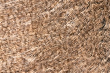 Koyu renkli üst deseni olan kahverengi gerçek yün, turuncu doğal yün, tasarımcılar için tüylü kürk dokusu, yakın çekim yün halı.