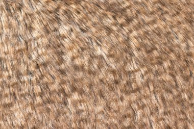 Koyu renkli üst deseni olan kahverengi gerçek yün, turuncu doğal yün, tasarımcılar için tüylü kürk dokusu, yakın çekim yün halı.