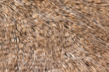 Koyu renkli üst deseni olan kahverengi gerçek yün, turuncu doğal yün, tasarımcılar için tüylü kürk dokusu, yakın çekim yün halı.