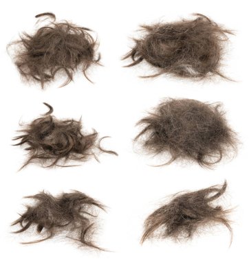 Beyaz arka planda saç tokası izole edilmiş. kolaj tüyü saç yakın çekim