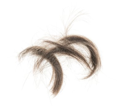 Beyaz arka planda saç tokası izole edilmiş. kabarık saç yakın plan.