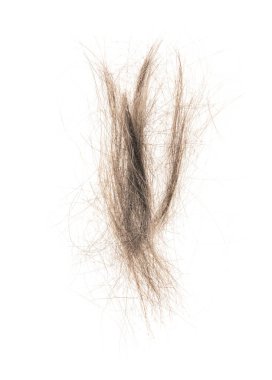 Beyaz arka planda saç tokası izole edilmiş. kabarık saç yakın plan.