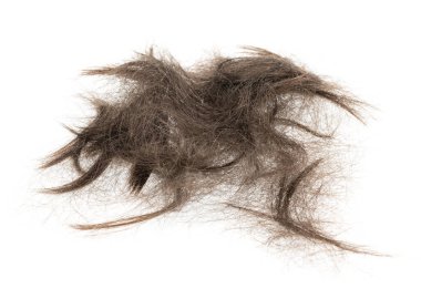 Beyaz arka planda saç tokası izole edilmiş. kabarık saç yakın plan.