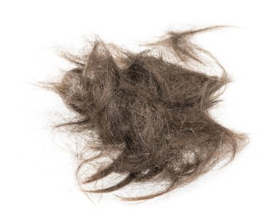 Beyaz arka planda saç tokası izole edilmiş. kabarık saç yakın plan.