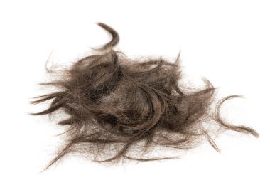 Beyaz arka planda saç tokası izole edilmiş. kabarık saç yakın plan.