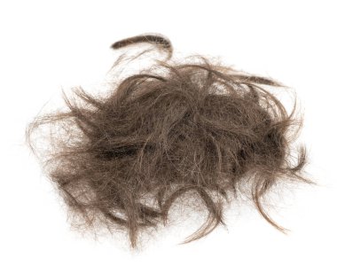 Beyaz arka planda saç tokası izole edilmiş. kabarık saç yakın plan.