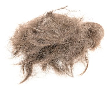 Beyaz arka planda saç tokası izole edilmiş. kabarık saç yakın plan.