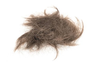 Beyaz arka planda saç tokası izole edilmiş. kabarık saç yakın plan.